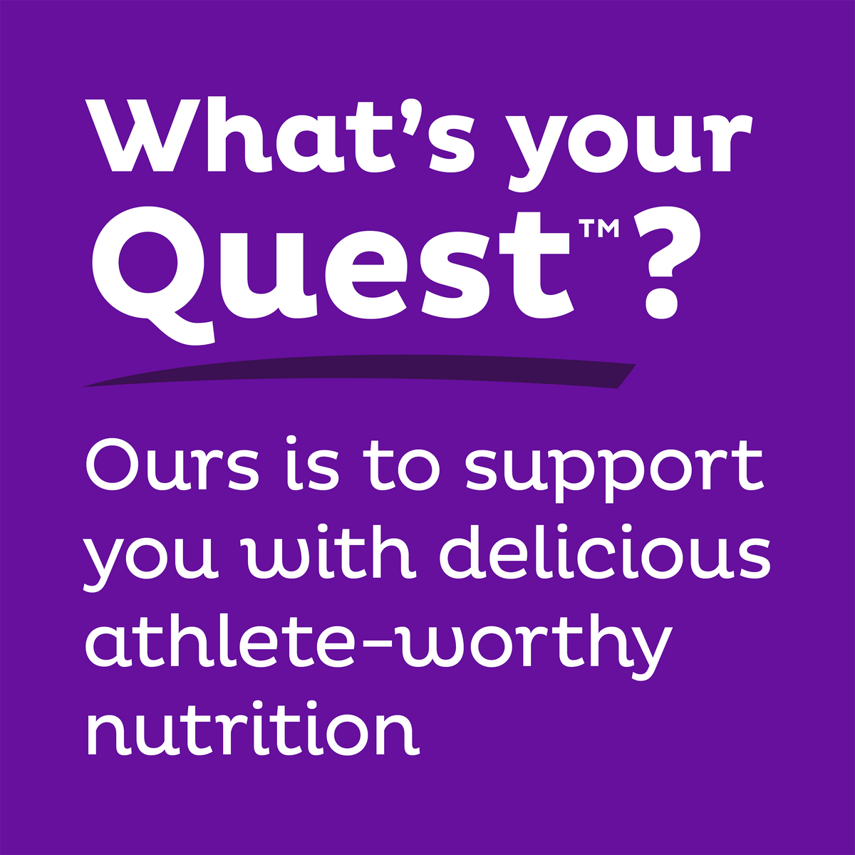 double-chocolate-chunk-protein-bars-g4 qst-000241_double-chocolate-chunk-protein-bars_9.png
